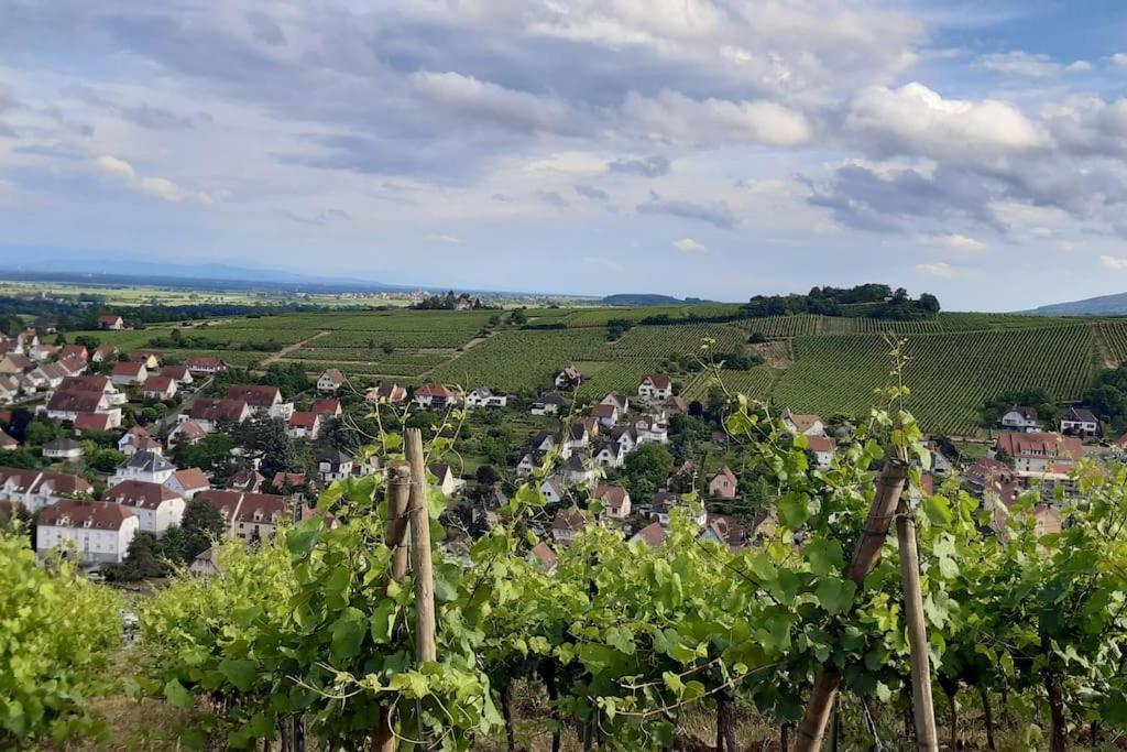 L'Appart Avec Terrasse - Centre Historique Barr Zewnętrze zdjęcie